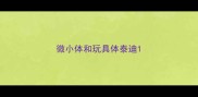 微小体和玩具体泰迪