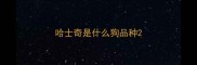 哈士奇是什么狗品种