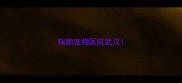 瑞鹏宠物医院武汉