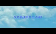 灰色泰迪用什么浴液