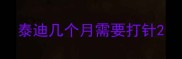 泰迪几个月需要打针