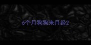 6个月狗狗来月经
