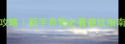 犬窝咳恢复期疫苗接种全攻略新手养狗必看避坑指南附详细时间表和护理技巧