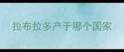拉布拉多产于哪个国家