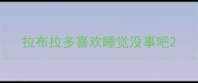 拉布拉多喜欢睡觉没事吧