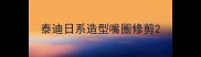 泰迪日系造型嘴圈修剪