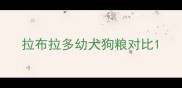 拉布拉多幼犬狗粮对比