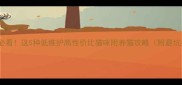 新手必看这5种低维护高性价比猫咪附养猫攻略附避坑指南