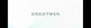 拉布拉多不掉毛吗
