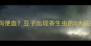 拉布拉多幼犬腹泻便血豆子出现寄生虫的5大征兆与科学防治指南