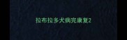 拉布拉多犬病完康复