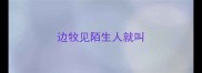 边牧见陌生人就叫