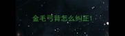 金毛弓背怎么纠正