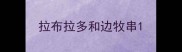 拉布拉多和边牧串