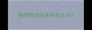 狗狗刚抱回来叫怎么办