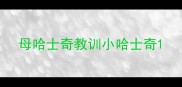母哈士奇教训小哈士奇