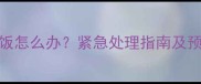 拉布拉多呕吐不吃饭怎么办紧急处理指南及预防措施附症状