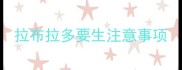拉布拉多要生注意事项