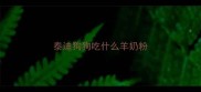 泰迪狗狗吃什么羊奶粉