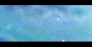 边牧生宝宝多久能好