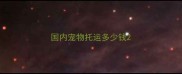 国内宠物托运多少钱