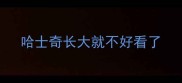 哈士奇长大就不好看了