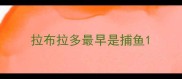 拉布拉多最早是捕鱼