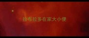 拉布拉多在家大小便