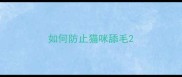 如何防止猫咪舔毛
