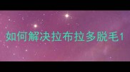 如何解决拉布拉多脱毛