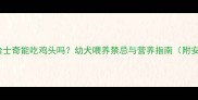 6个月大哈士奇能吃鸡头吗幼犬喂养禁忌与营养指南附安全食谱