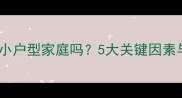 哈士奇适合小户型家庭吗5大关键因素与饲养指南