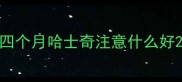 四个月哈士奇注意什么好
