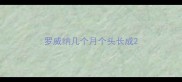 罗威纳几个月个头长成