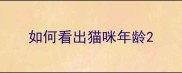 如何看出猫咪年龄