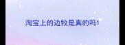 淘宝上的边牧是真的吗