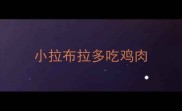 小拉布拉多吃鸡肉