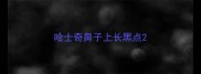 哈士奇鼻子上长黑点