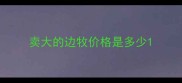 卖大的边牧价格是多少