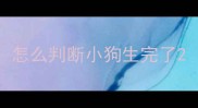 怎么判断小狗生完了