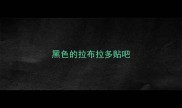 黑色的拉布拉多贴吧