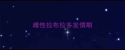 雌性拉布拉多发情期