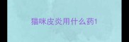 猫咪皮炎用什么药