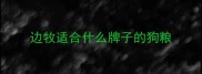 边牧适合什么牌子的狗粮