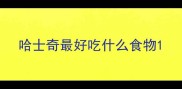 哈士奇最好吃什么食物