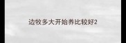 边牧多大开始养比较好