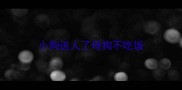 小狗送人了母狗不吃饭