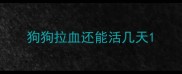 狗狗拉血还能活几天
