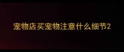 宠物店买宠物注意什么细节