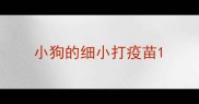 小狗的细小打疫苗
